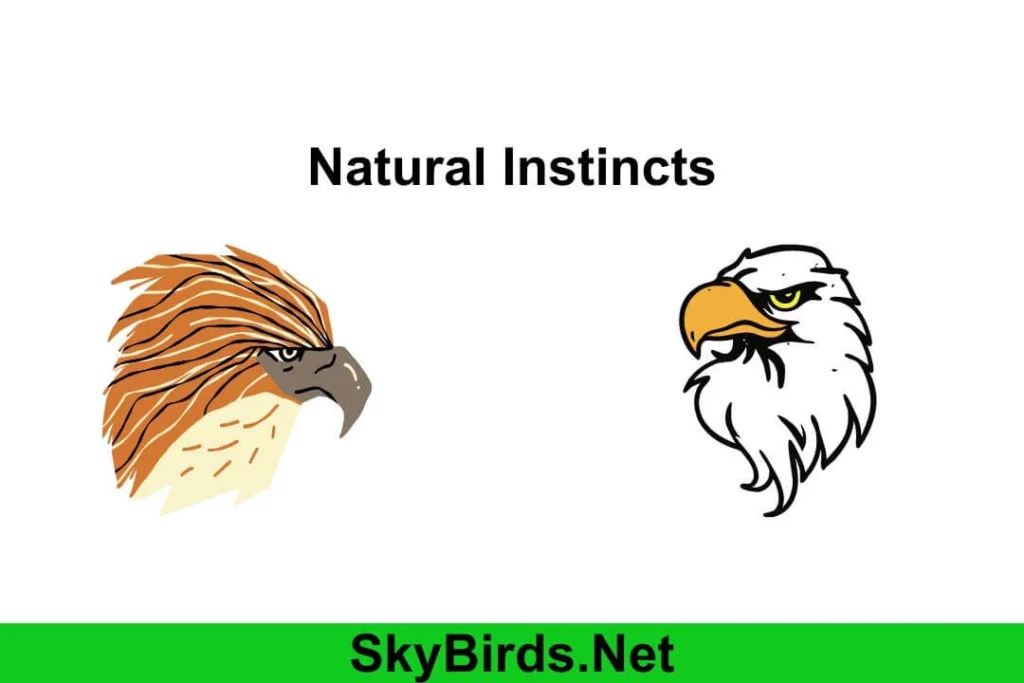 Natural Instincts and Predatory Behavior