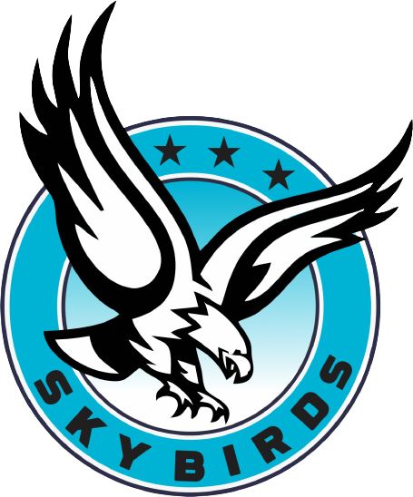 skybirds web-logo-icon original 2